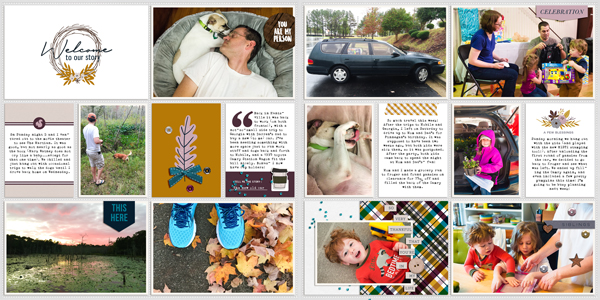 November 2 - November 8, 2015 (Full Layout)