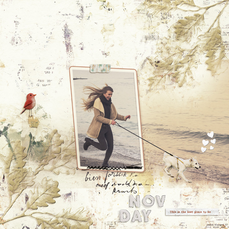 November Day