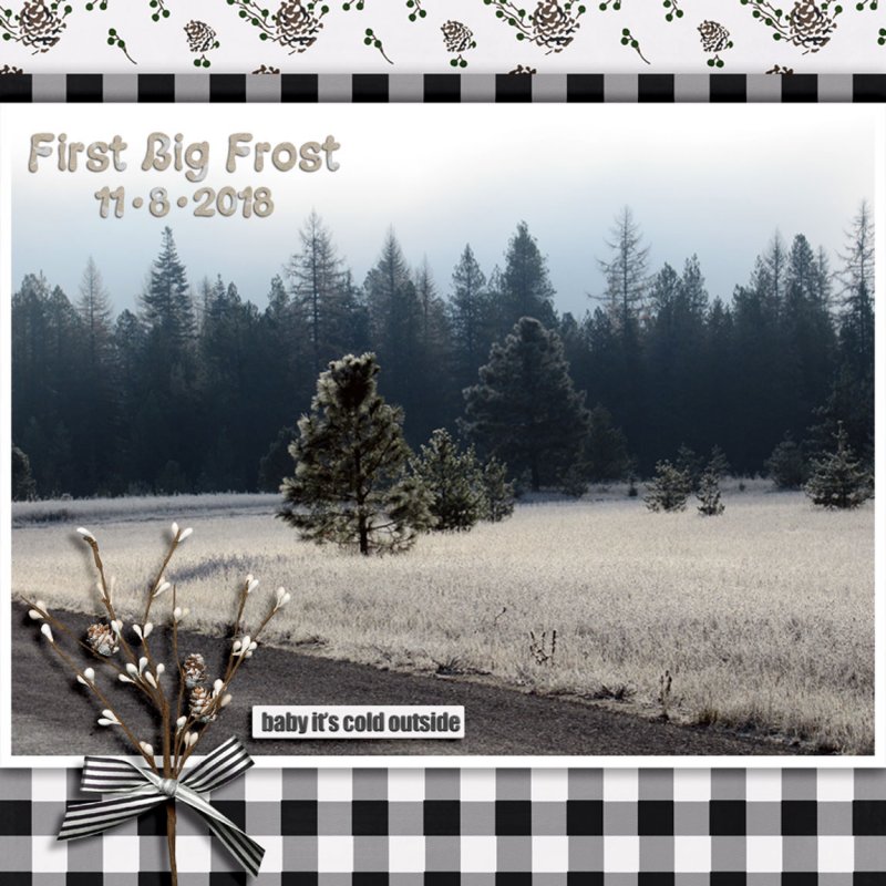 NOVEMBER INSPIRATION CHALLENGE - FIRST BIG FROST