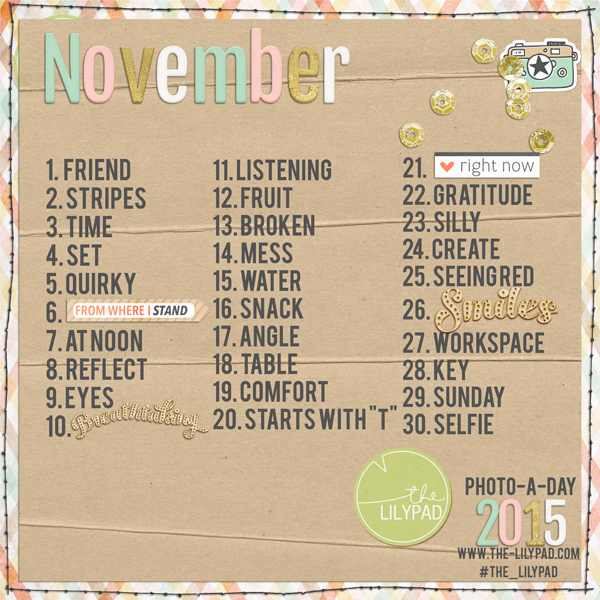 November Photo-a-day