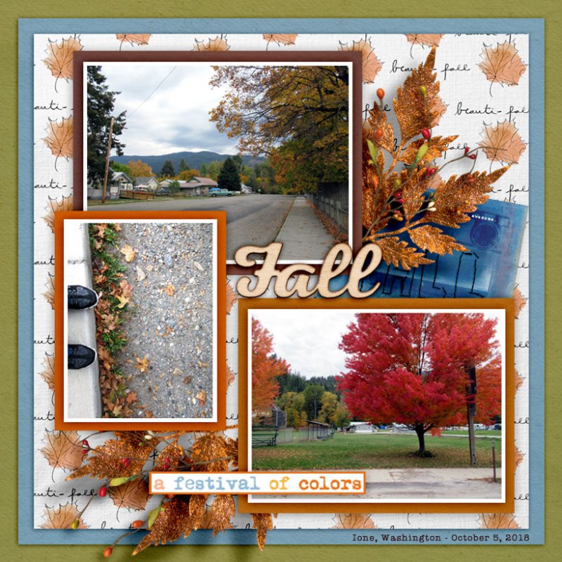 NOVEMBER PHOTOGRAPHY CHALLENGE - A FESTIVAL OF COLORS