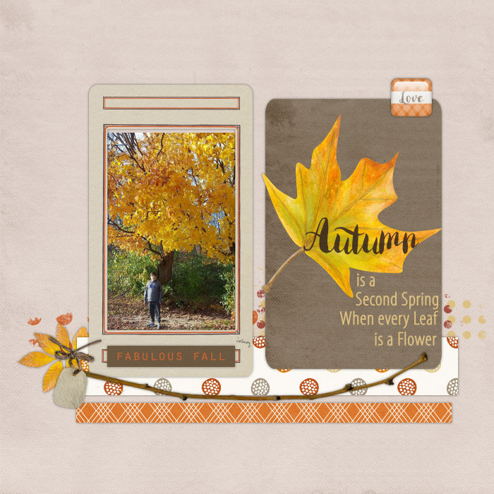 November Scraplift Challenge