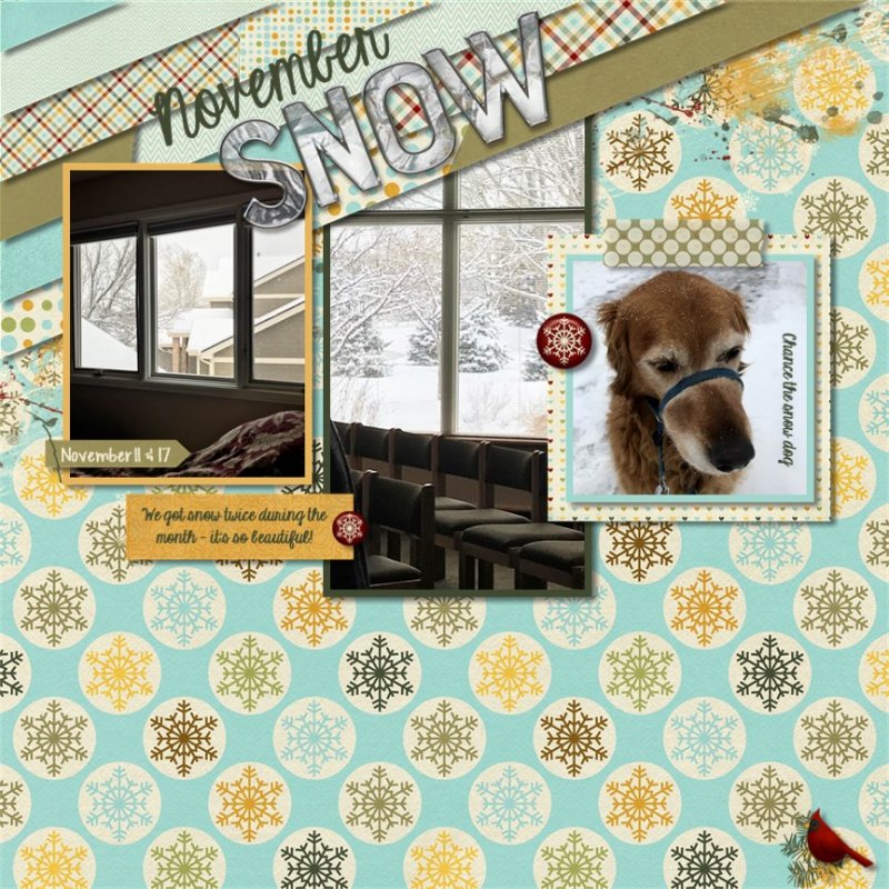 November Snow