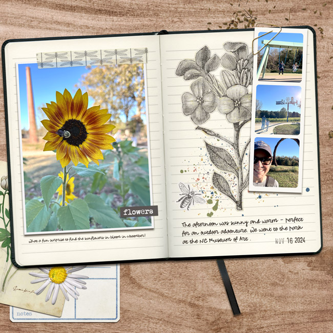 November Sunflowers