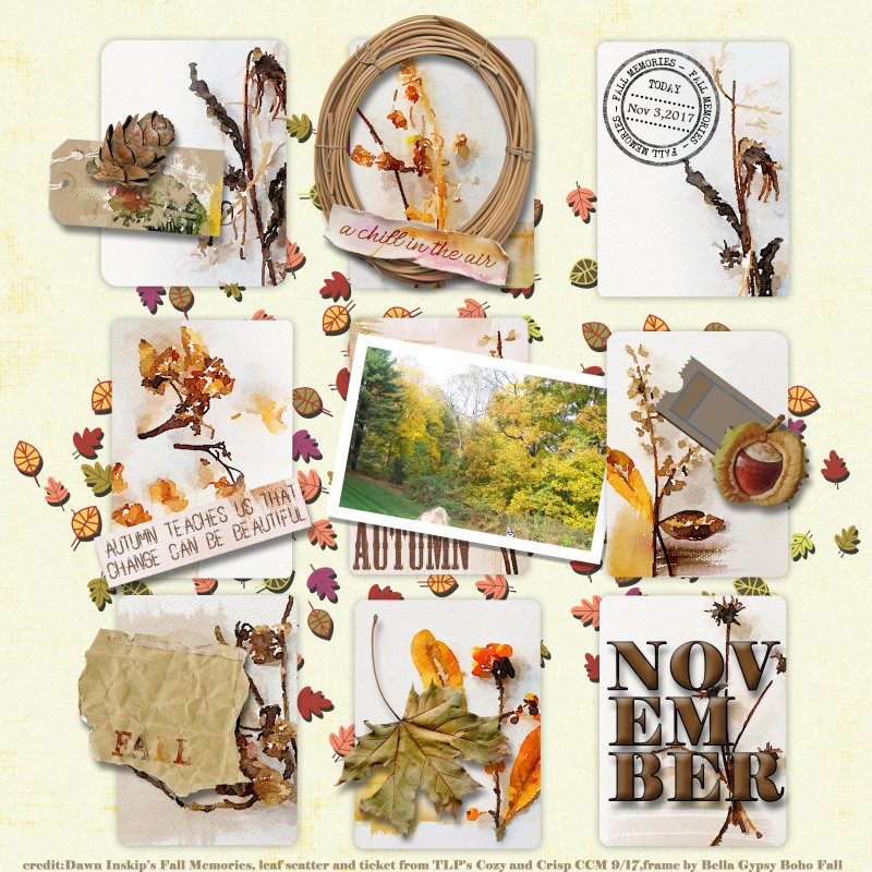 NOVEMBER TLP's Scraplift Challenge