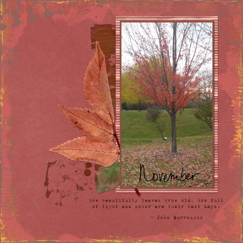 November