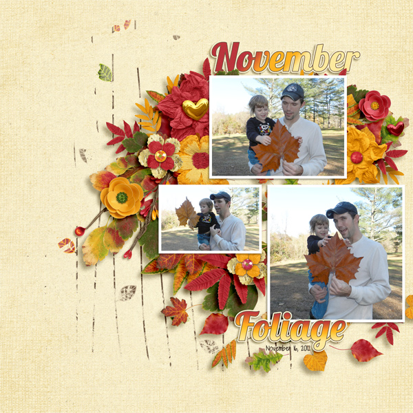 NovemberFoliage