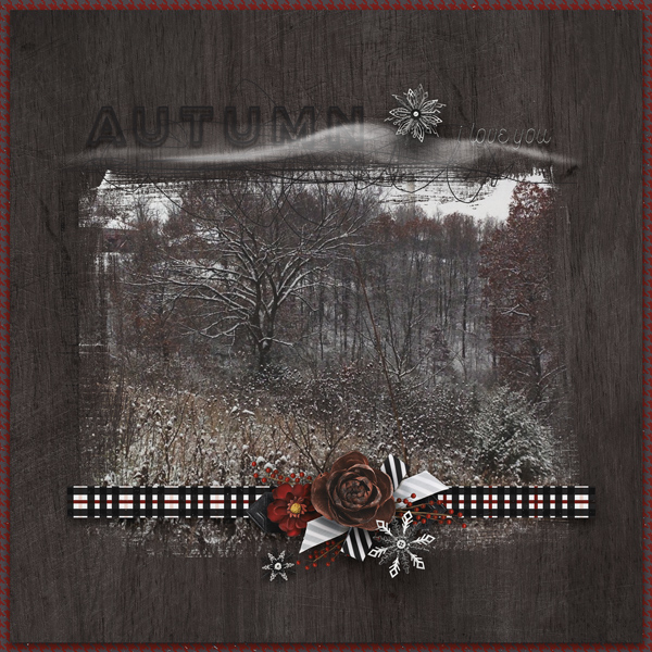 NovemberSnow