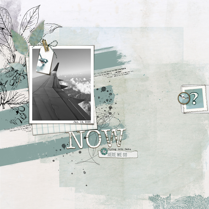 Now-here-we-go