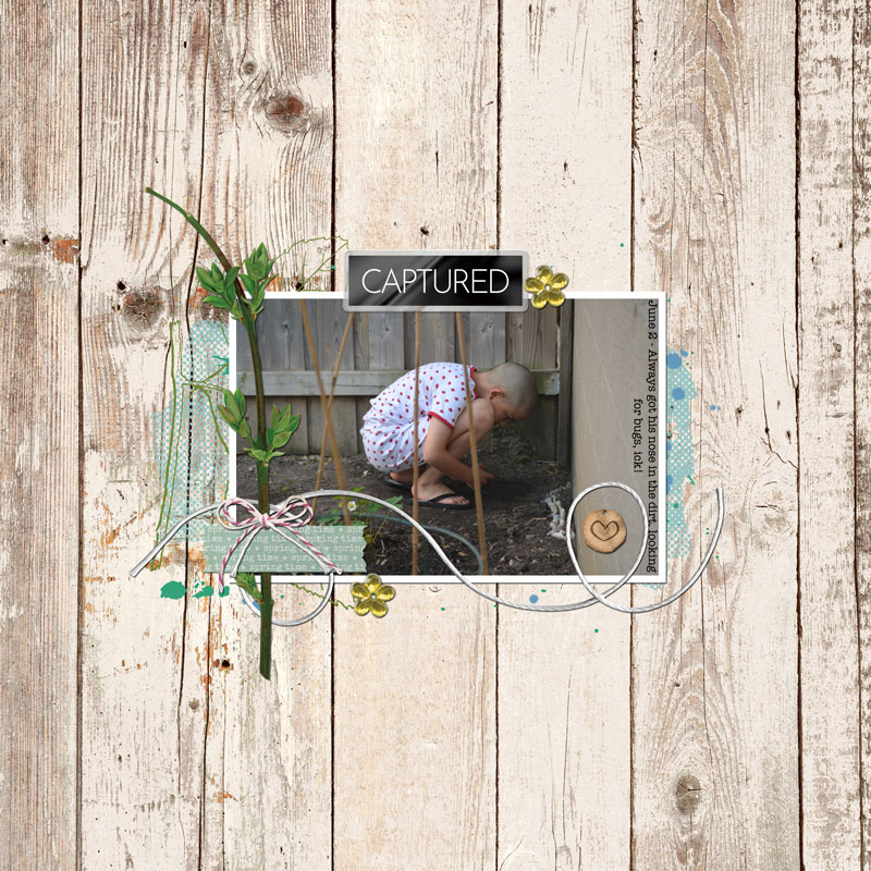 NSD-2024-Slow-Scrap-Fri-May-3-2pm