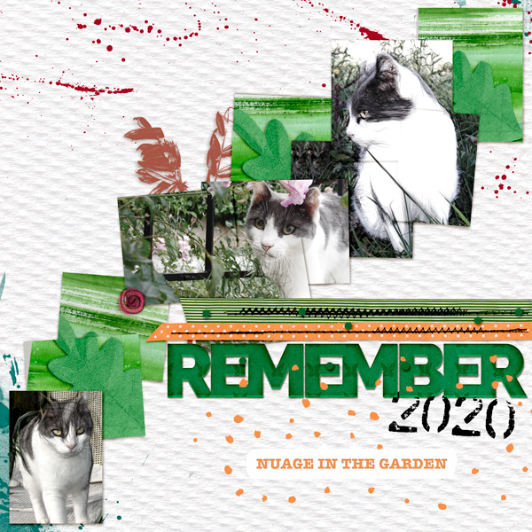 Nuage in the garden