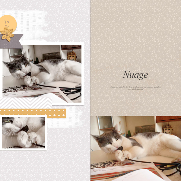 Nuage plays