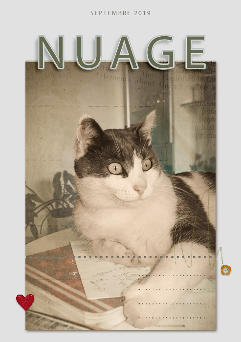 Nuage