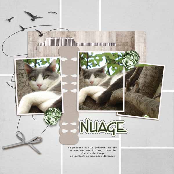 Nuage