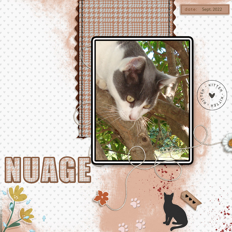 Nuage