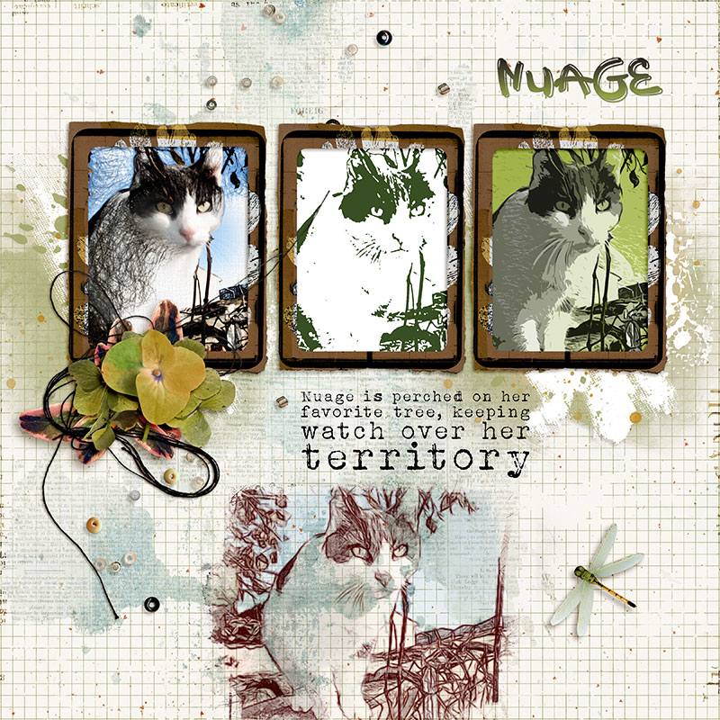 Nuage