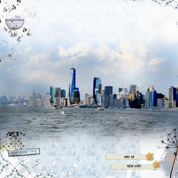 NY