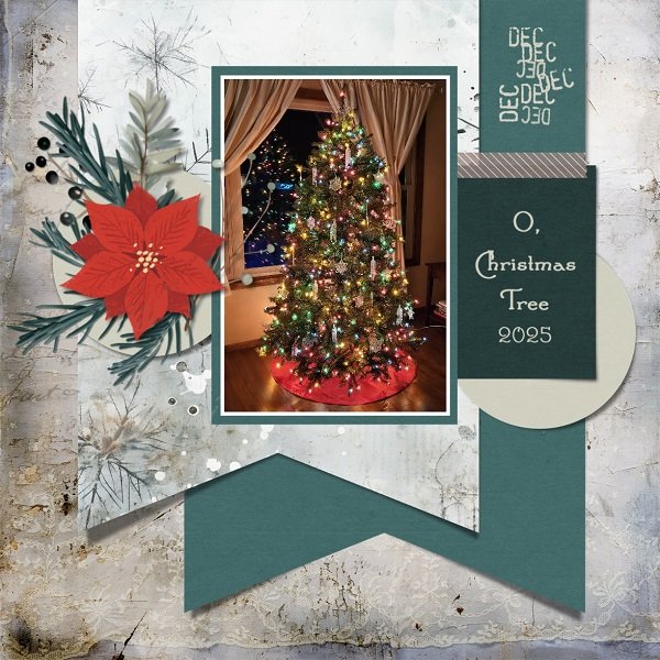 O, Christmas Tree 2025.jpg