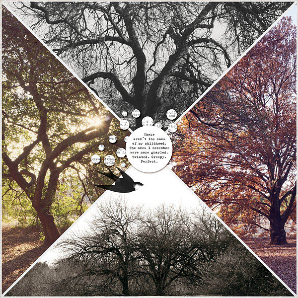 Oaks
