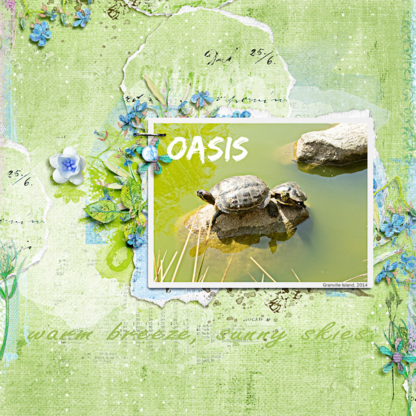 Oasis