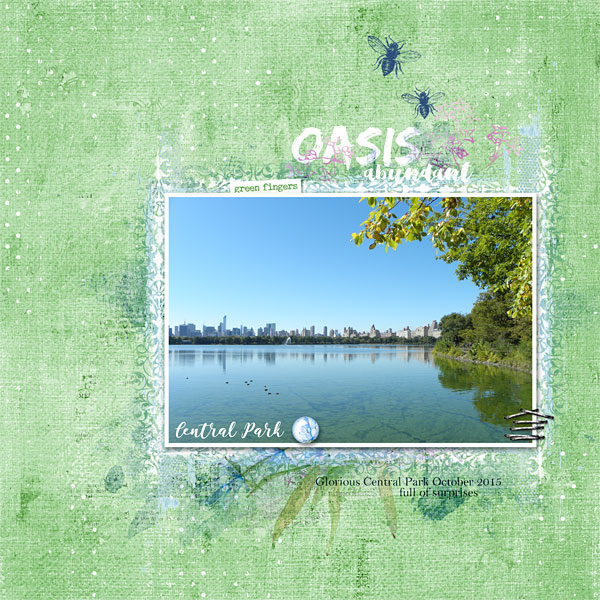 Oasis
