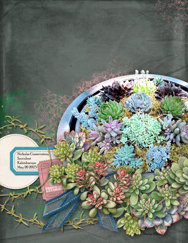 OAWA_2023-06_June_New_0609_CU-Succulents-No2_Marilyn_web
