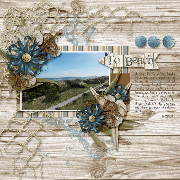 Obx2014_walktobeachsm