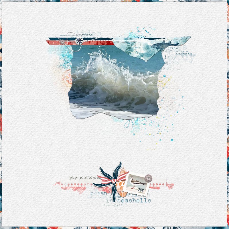 Ocean Waves
