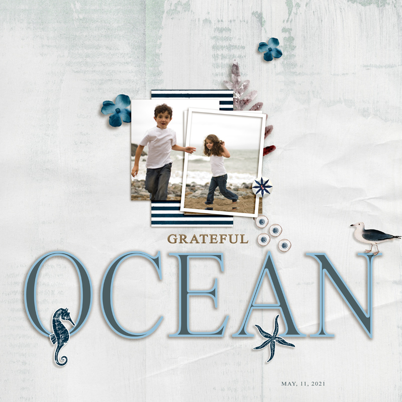 Ocean