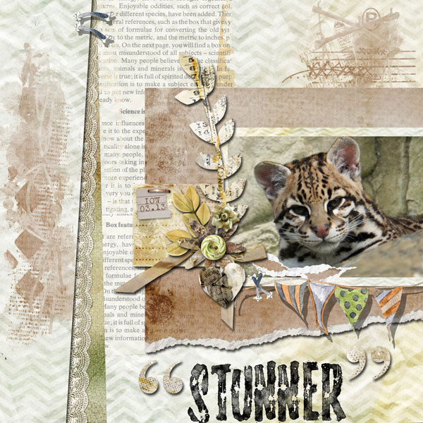 OCS Stunner Scrapbook