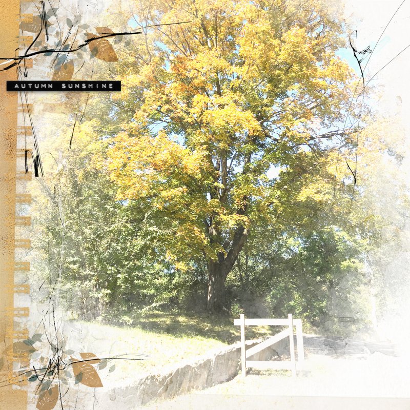 Oct 19 Photography Challenge