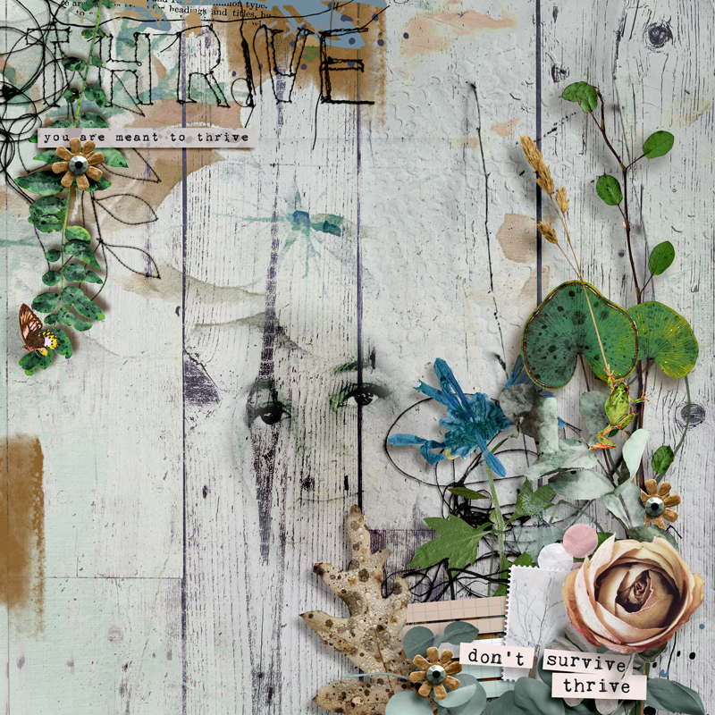 Oct Muse - Week 1 Earth