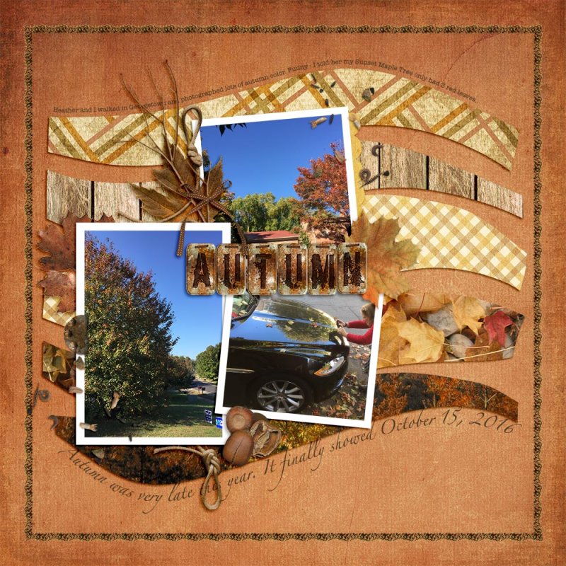 oct2016 - Autumn At Last