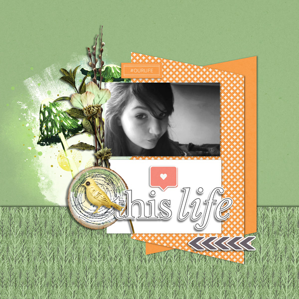 OctMoodBoardTemplates