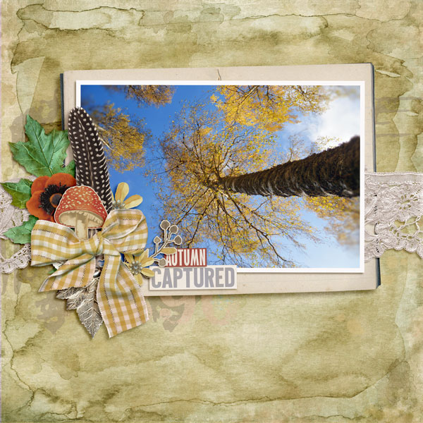 October 2016 Photograpy Challenge