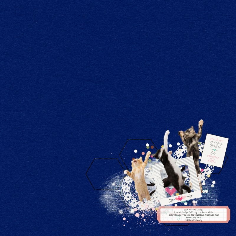October 2021 Scraplift Kitten Lady Kittens