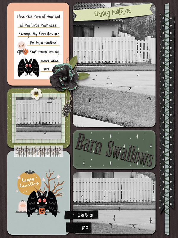 October album - barn swallows