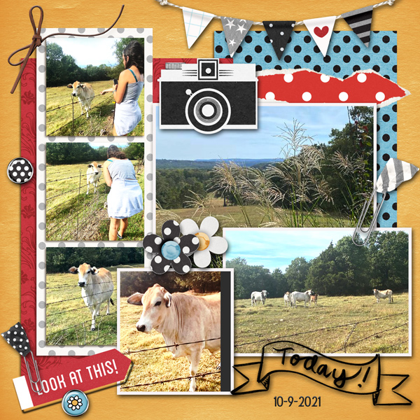 October Sahlin Studio Challenge