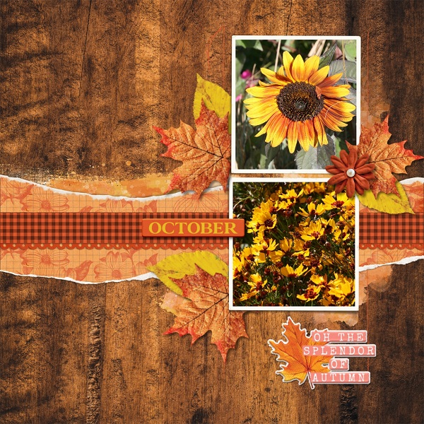 October - Splendor Of Autumn