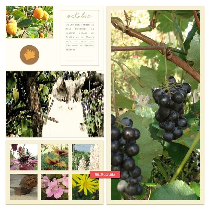 Octobre dans le jardin
