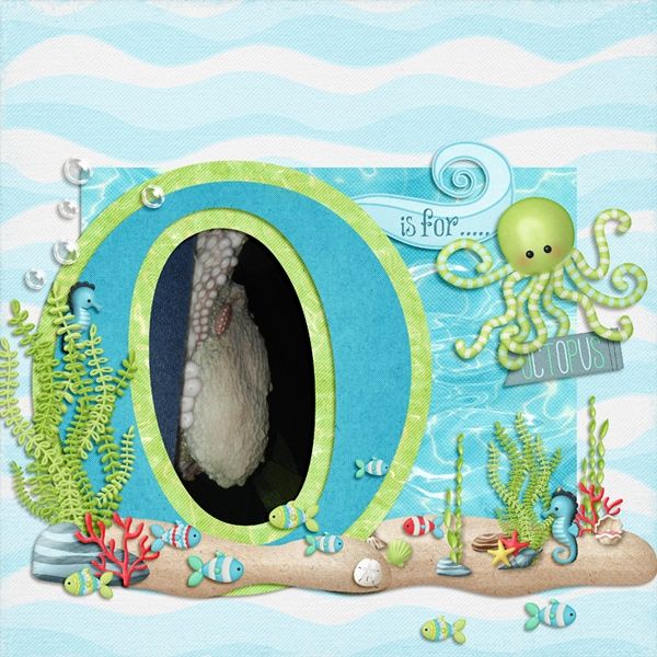 Octopus
