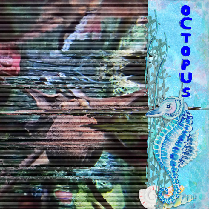 OCTOPUS