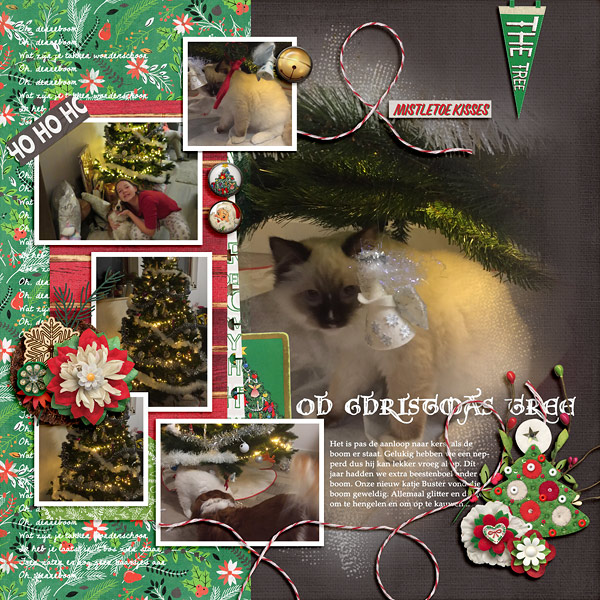 Oh Christmas tree