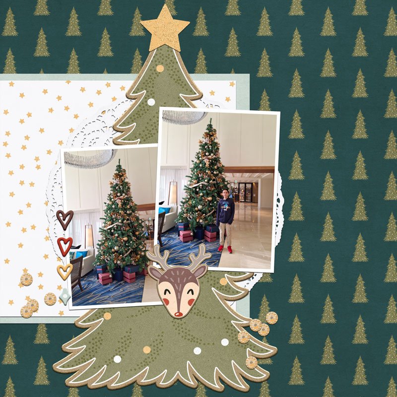 Oh Christmas Tree