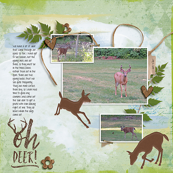 Oh Deer!
