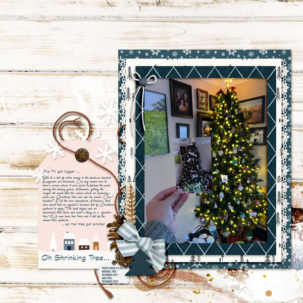 Oh-Shrinking-Tree_MOC10_Day2