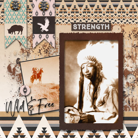 Ojibwa Tribal Chief