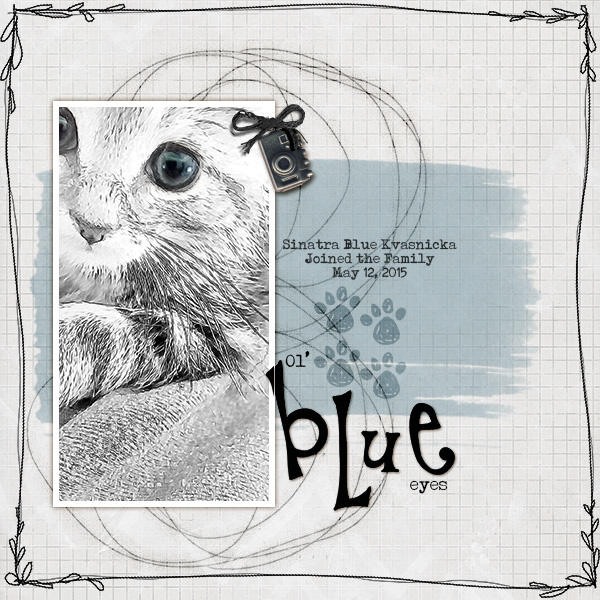 Ol' Blue Eyes (Digi Dare # 406)