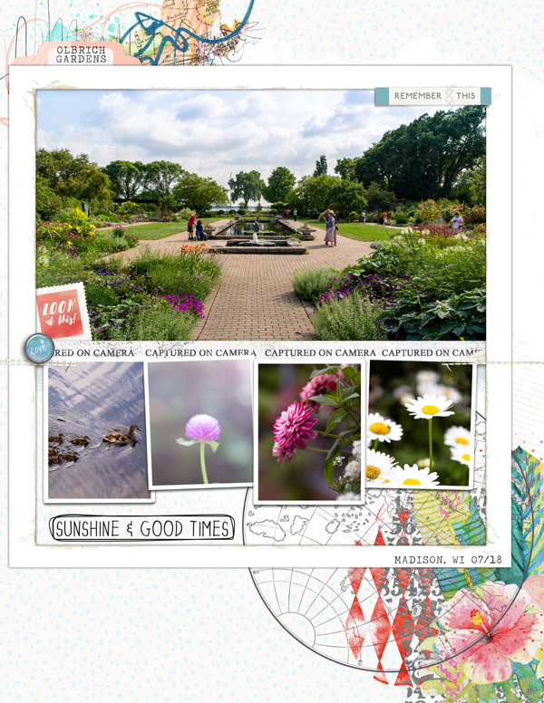 Olbrich Gardens Photog Challenge