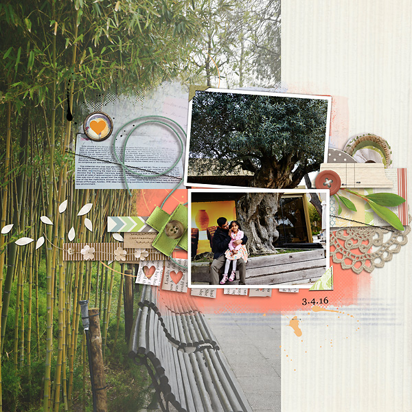 Olive-Tree